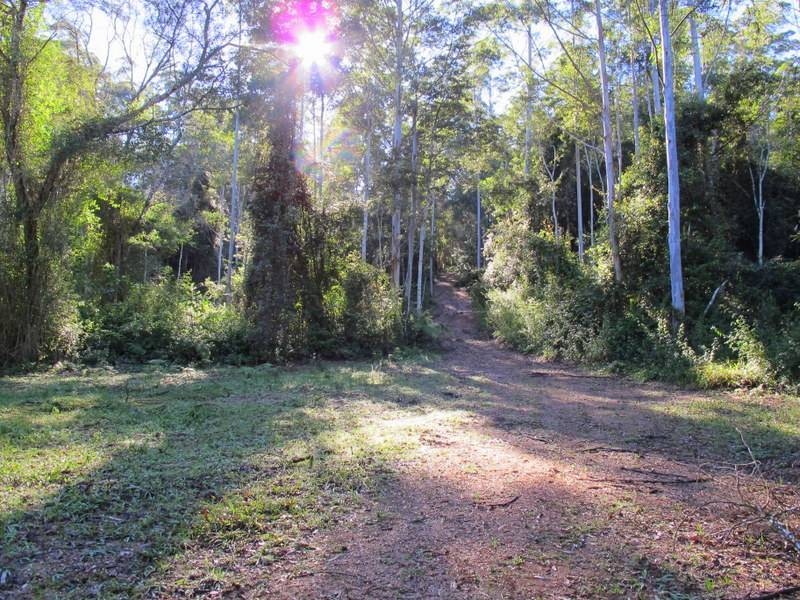 Lot 95 & 302 Kennaicle Creek Road, Missabotti NSW 2449