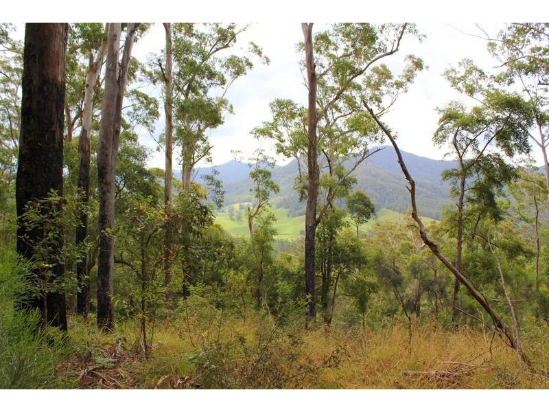 Lot 95 & 302 Kennaicle Creek Road, Missabotti NSW 2449
