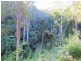 Lot 95 & 302 Kennaicle Creek Road, Missabotti NSW 2449