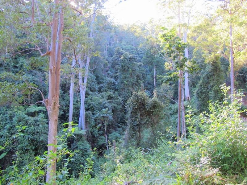 Lot 95 & 302 Kennaicle Creek Road, Missabotti NSW 2449