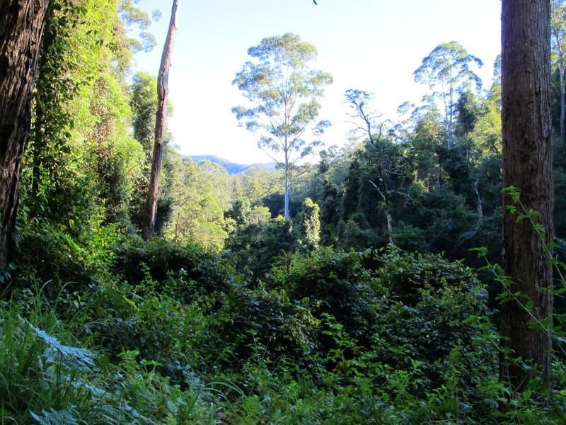 Lot 95 & 302 Kennaicle Creek Road, Missabotti NSW 2449