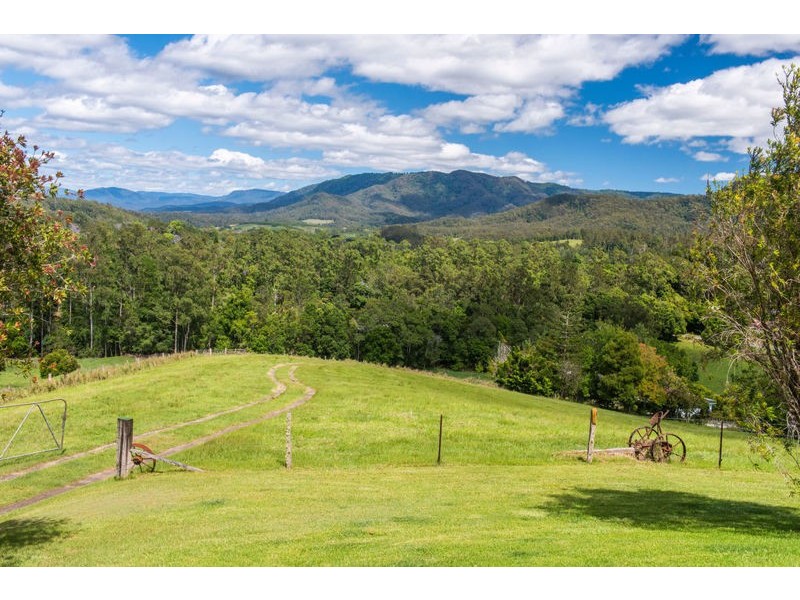 2209 Waterfall Way, Bellingen NSW 2454