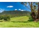 2209 Waterfall Way, Bellingen NSW 2454
