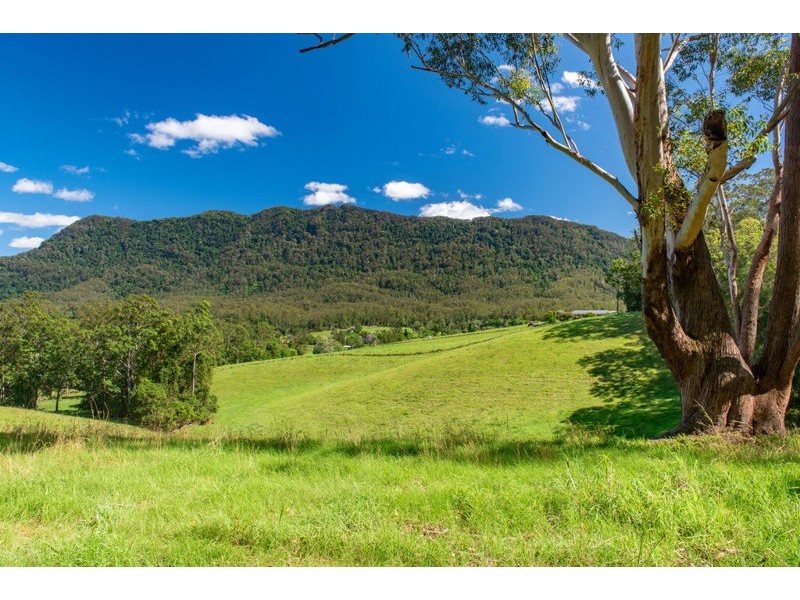 2209 Waterfall Way, Bellingen NSW 2454