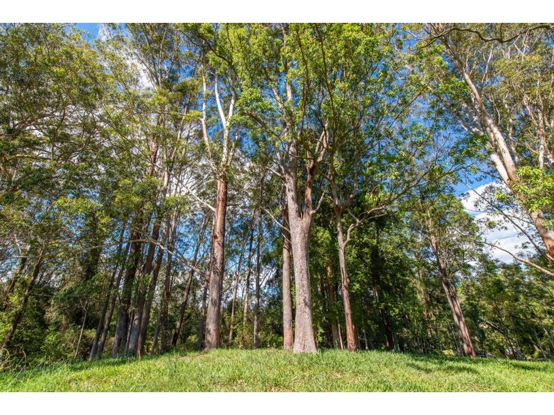 2209 Waterfall Way, Bellingen NSW 2454