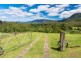 2209 Waterfall Way, Bellingen NSW 2454