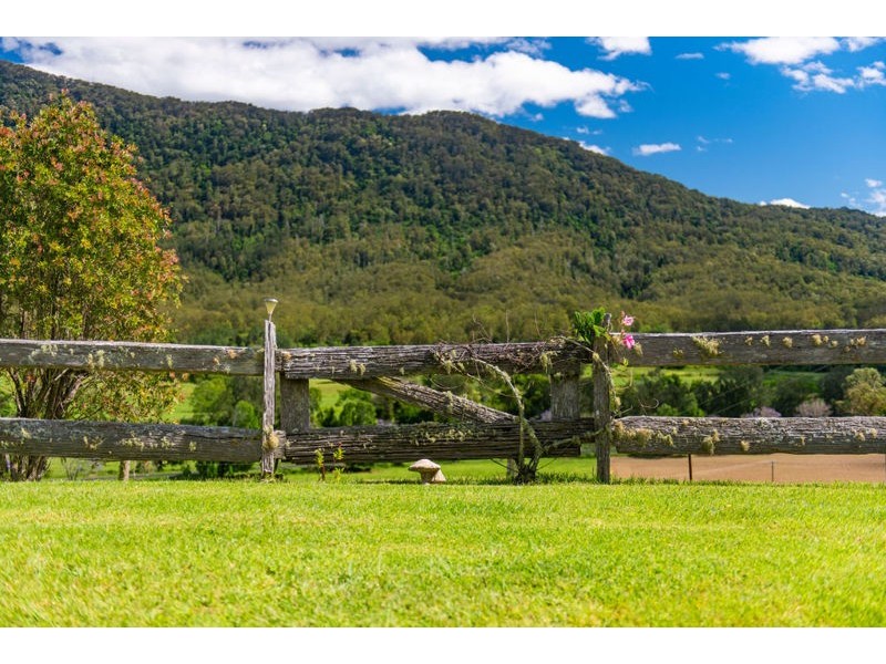 2209 Waterfall Way, Bellingen NSW 2454