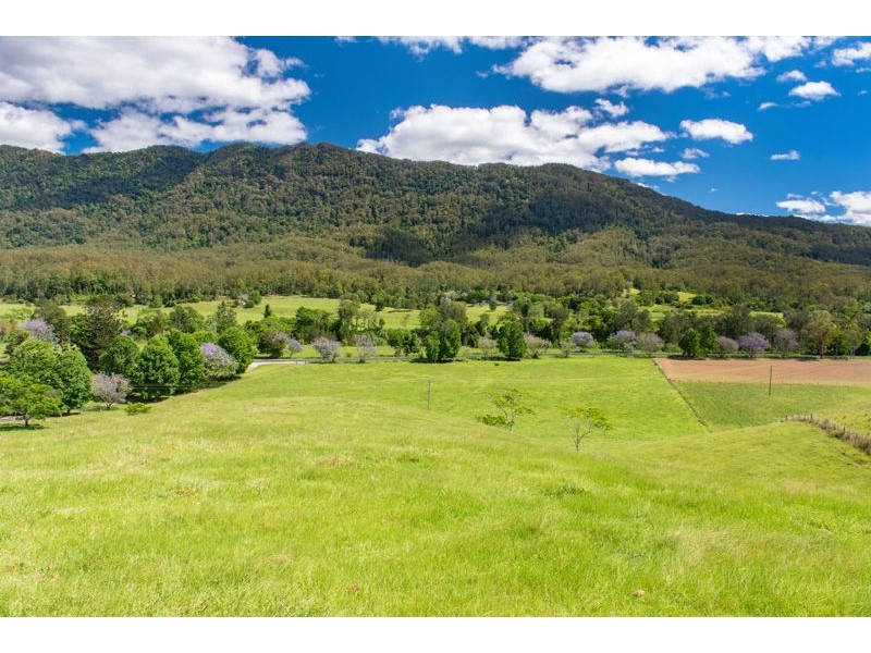 2209 Waterfall Way, Bellingen NSW 2454