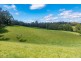 2209 Waterfall Way, Bellingen NSW 2454