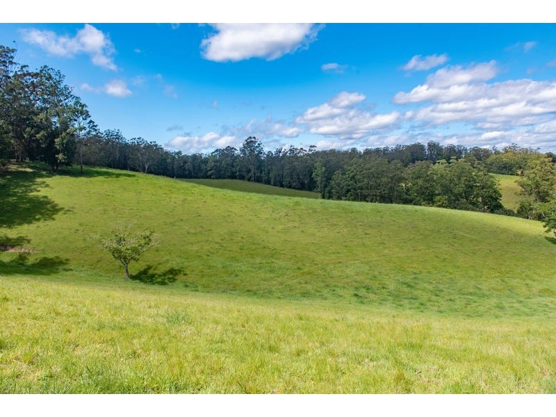 2209 Waterfall Way, Bellingen NSW 2454
