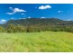 2209 Waterfall Way, Bellingen NSW 2454
