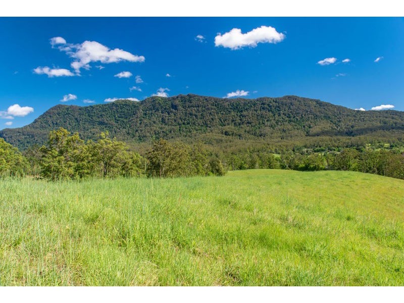 2209 Waterfall Way, Bellingen NSW 2454