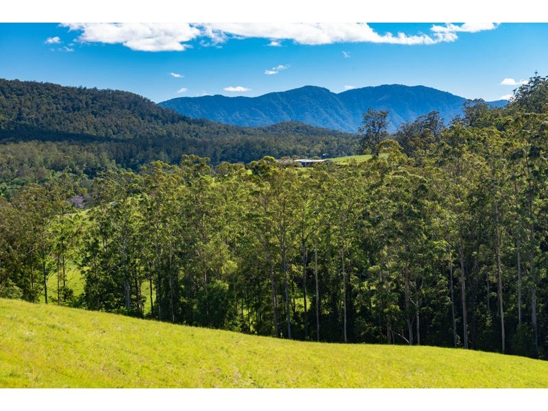 2209 Waterfall Way, Bellingen NSW 2454