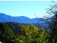 50 Mcdougall Place Fernmount, Bellingen NSW 2454