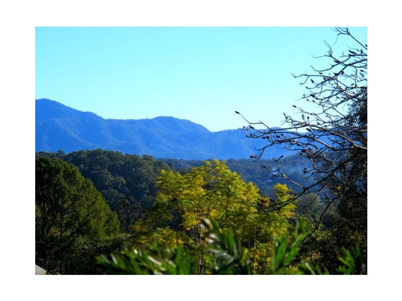50 Mcdougall Place Fernmount, Bellingen NSW 2454