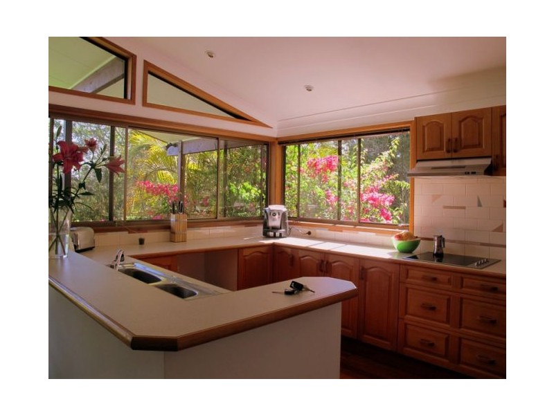 50 Mcdougall Place Fernmount, Bellingen NSW 2454