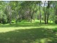 50 Mcdougall Place Fernmount, Bellingen NSW 2454
