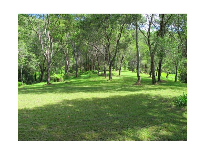 50 Mcdougall Place Fernmount, Bellingen NSW 2454