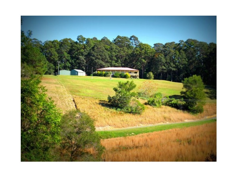 73 Hydes Creek Rd, Bellingen NSW 2454