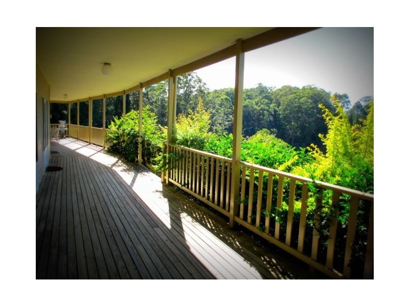 73 Hydes Creek Rd, Bellingen NSW 2454