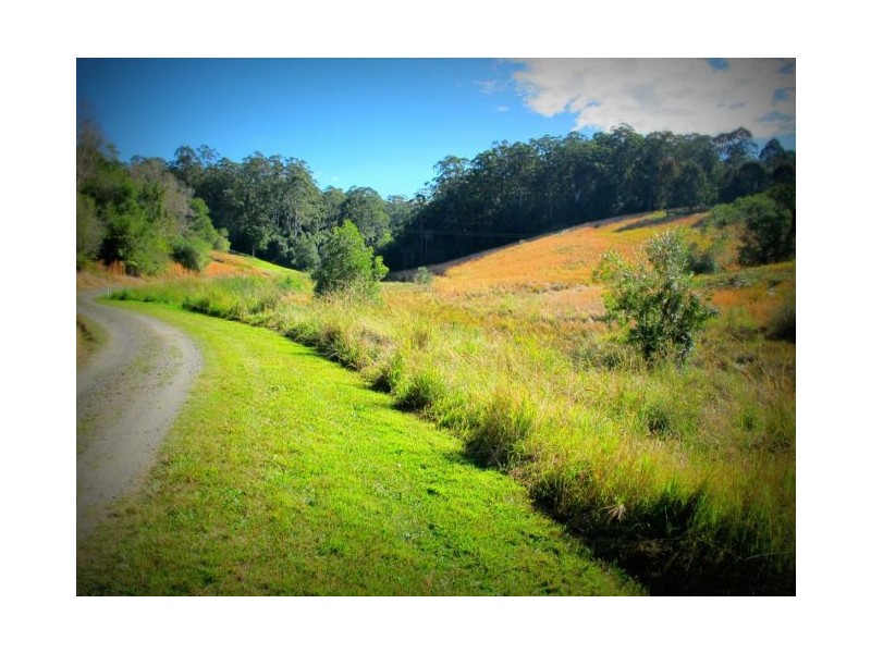 73 Hydes Creek Rd, Bellingen NSW 2454