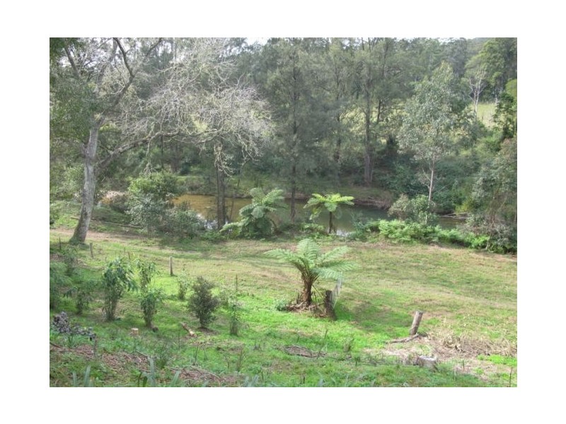 799 Kalang Road, Bellingen NSW 2454