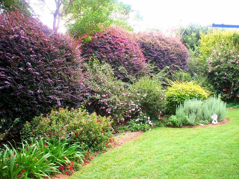8 McCristal Drive, Bellingen NSW 2454