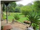 189 Maydwell Street, Fernmount NSW 2454