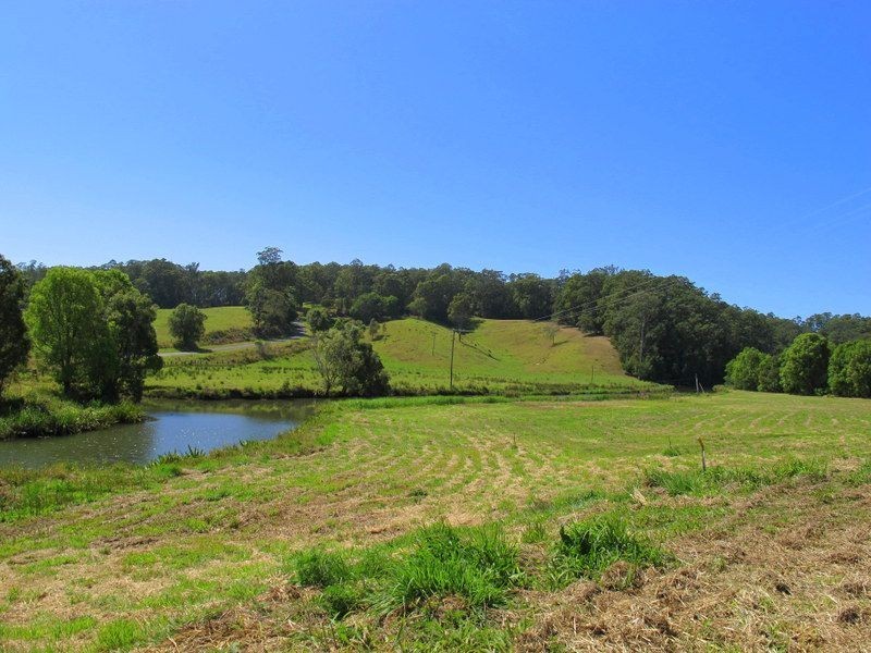 382 North Bank Road, Bellingen NSW 2454