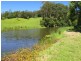 382 North Bank Road, Bellingen NSW 2454