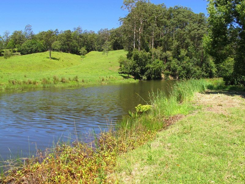 382 North Bank Road, Bellingen NSW 2454