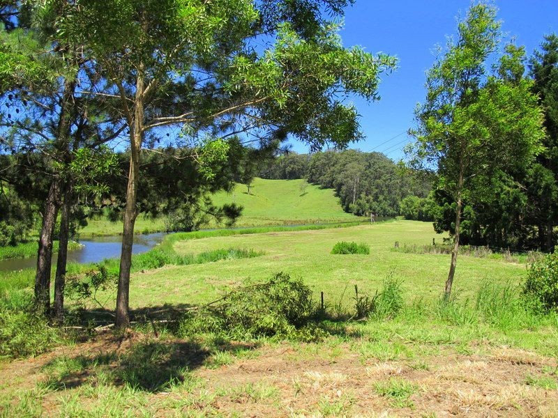 382 North Bank Road, Bellingen NSW 2454
