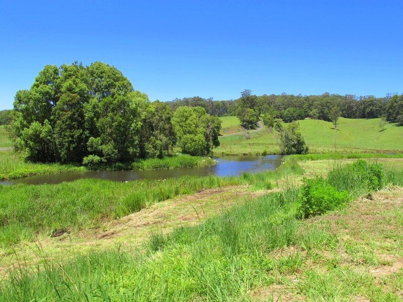 382 North Bank Road, Bellingen NSW 2454