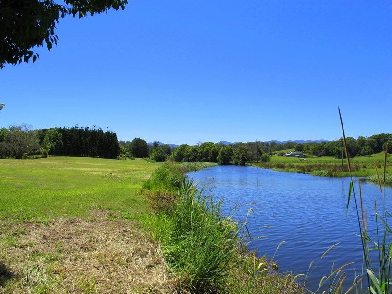 382 North Bank Road, Bellingen NSW 2454