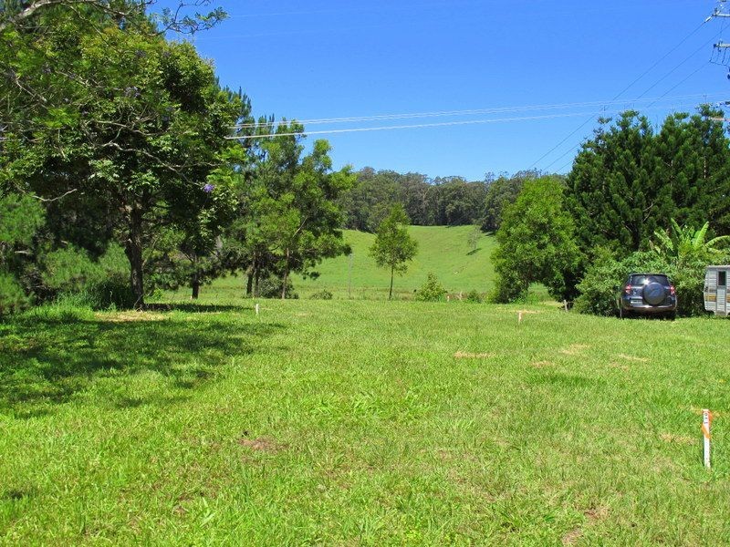 382 North Bank Road, Bellingen NSW 2454