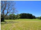 382 North Bank Road, Bellingen NSW 2454