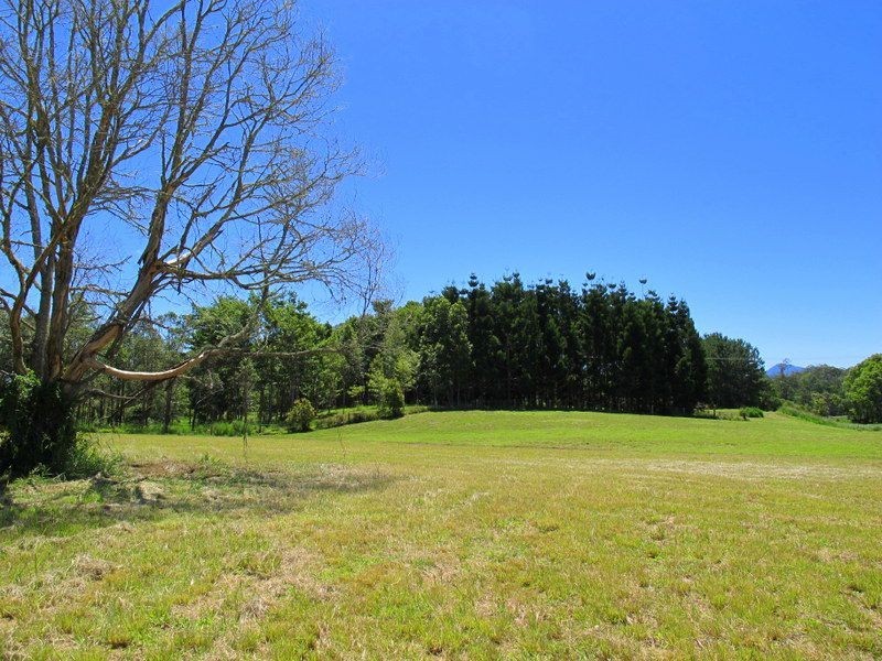 382 North Bank Road, Bellingen NSW 2454