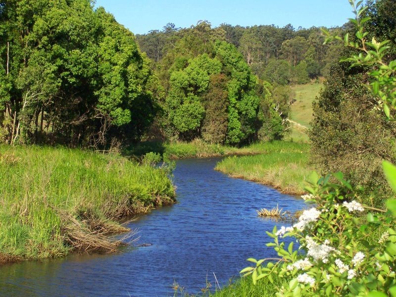 382 North Bank Road, Bellingen NSW 2454