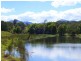 382 North Bank Road, Bellingen NSW 2454