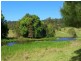 382 North Bank Road, Bellingen NSW 2454