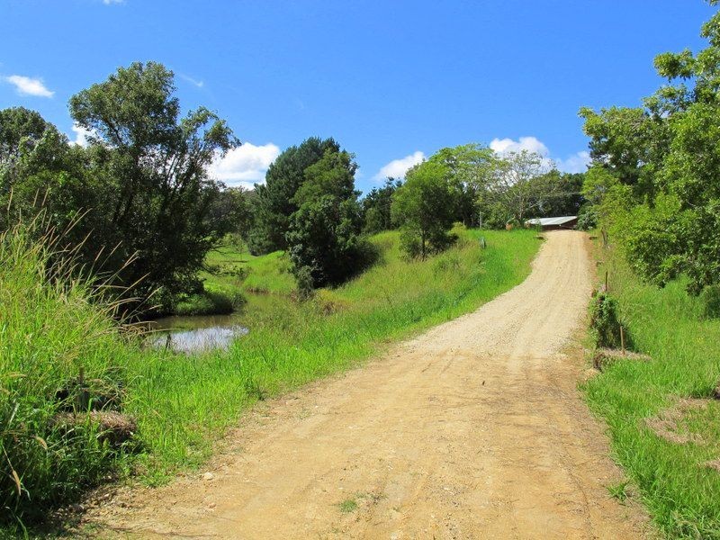 382 North Bank Road, Bellingen NSW 2454