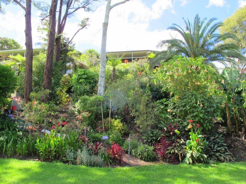 58 Old Pacific Highway, Raleigh NSW 2454