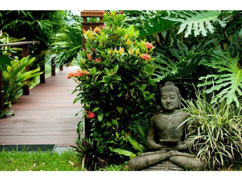 2749 Waterfall Way, Bellingen NSW 2454