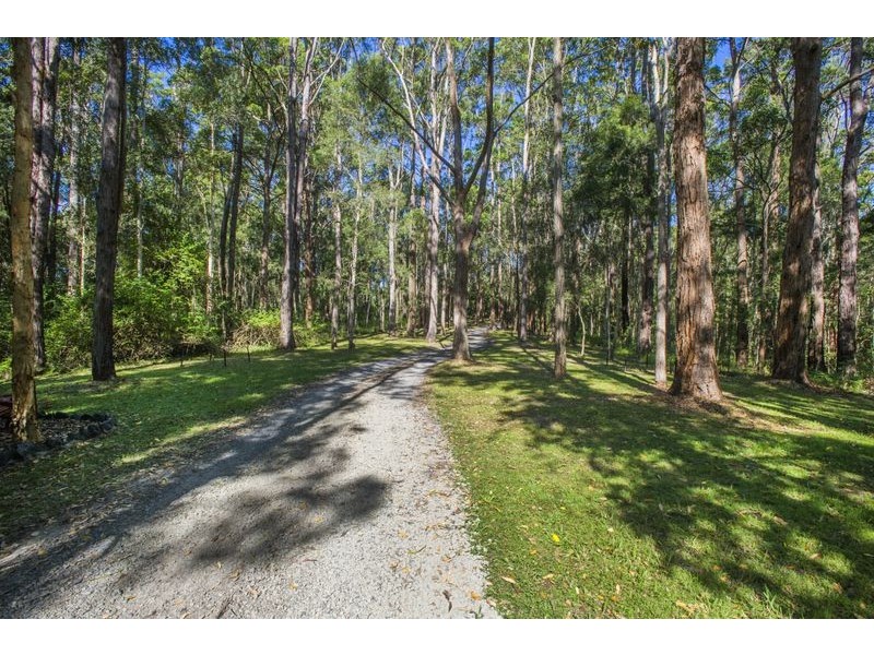 229 Short Cut Road, Raleigh NSW 2454