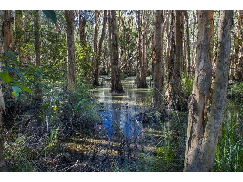 229 Short Cut Road, Raleigh NSW 2454