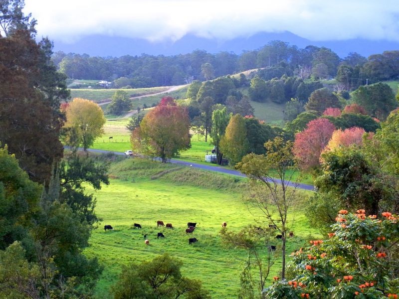 7 Sunset Ridge Dr, Bellingen NSW 2454