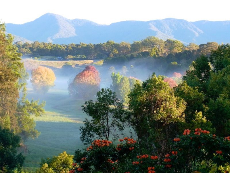 7 Sunset Ridge Dr, Bellingen NSW 2454