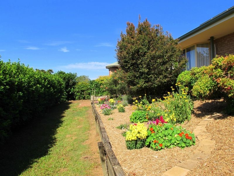 Bellingen NSW 2454