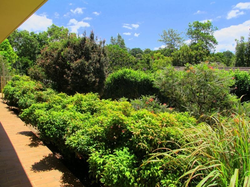 Bellingen NSW 2454
