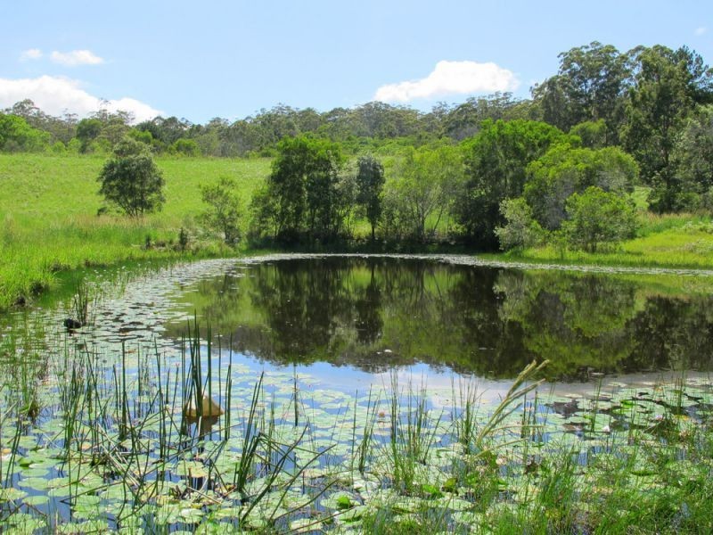 60 Reids Road, Bellingen NSW 2454